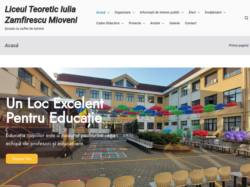 Imagine pentru website-ul unitatii: LICEUL TEORETIC "IULIA ZAMFIRESCU" MIOVENI